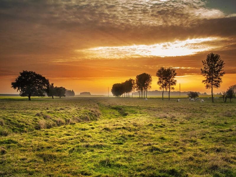 Иллюстрация к статье: Императрица в Таро: архетип творения, материнства и изобилия