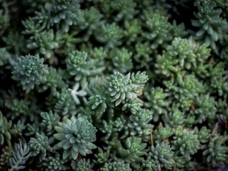 Расклад Таро "Мост" на скрытые способности: полное руководство по работе с внутренним потенциалом