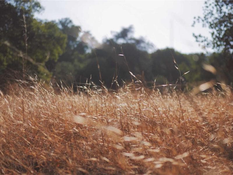 Семерка Жезлов на здоровье: как энергия борьбы влияет на ваше тело