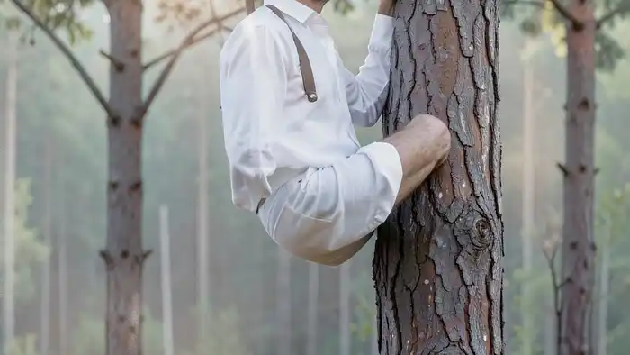 Повешенный карта дня таро — изображение архетипа с закрытыми глазами, висящий на дереве в тихой природе